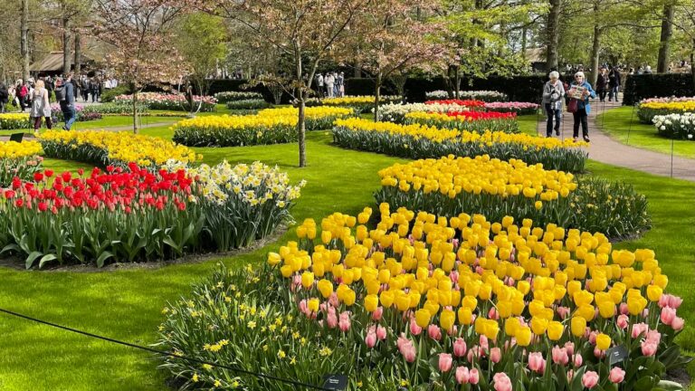holandia-keukenhof-park