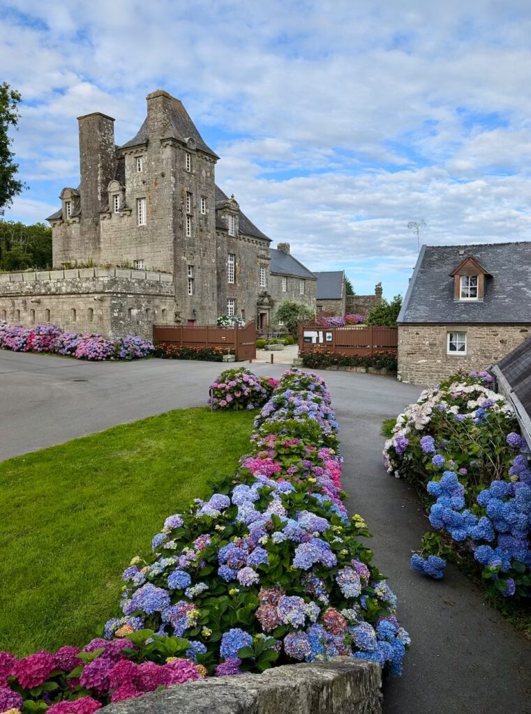 bretania-ogrody-hortensje