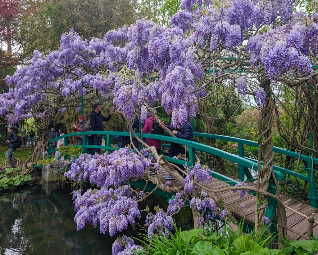 francja-ogrod-giverny