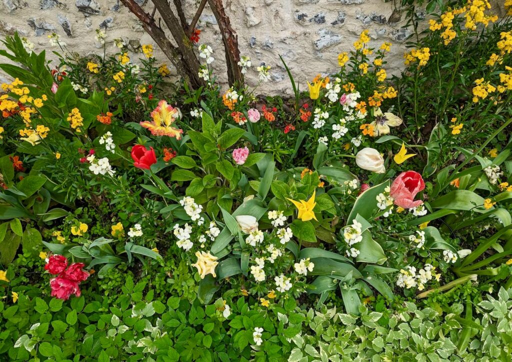 francja-ogrod-giverny
