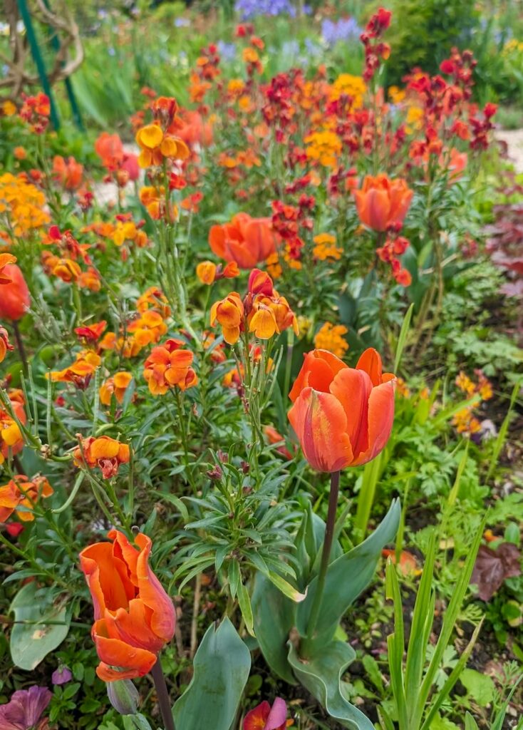 francja-ogrod-giverny