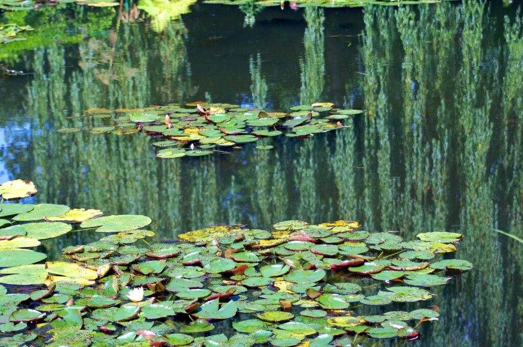 francja-ogrod-giverny