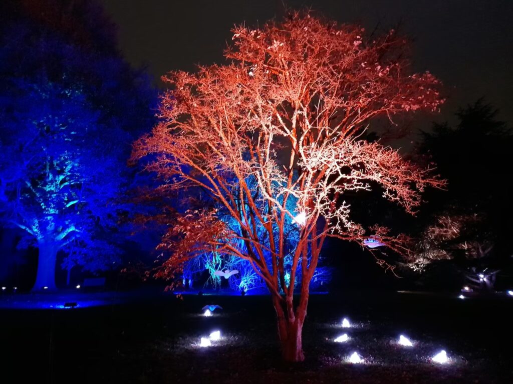 londyn-zima-kew-gardens