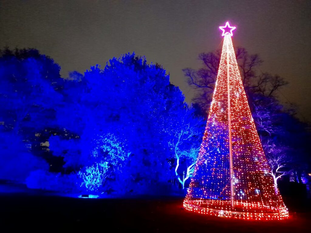 londyn-zima-kew-gardens-choinka