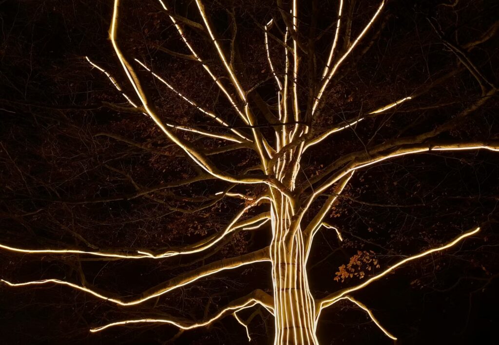 londyn-zima-kew-gardens