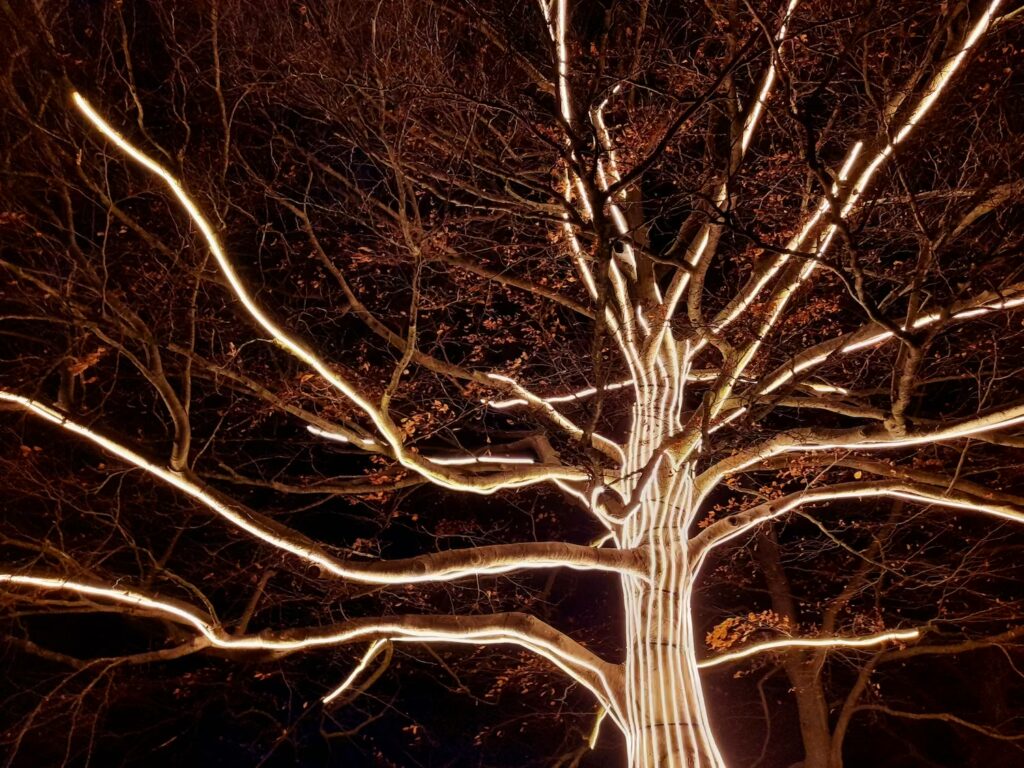 londyn-zima-kew-gardens