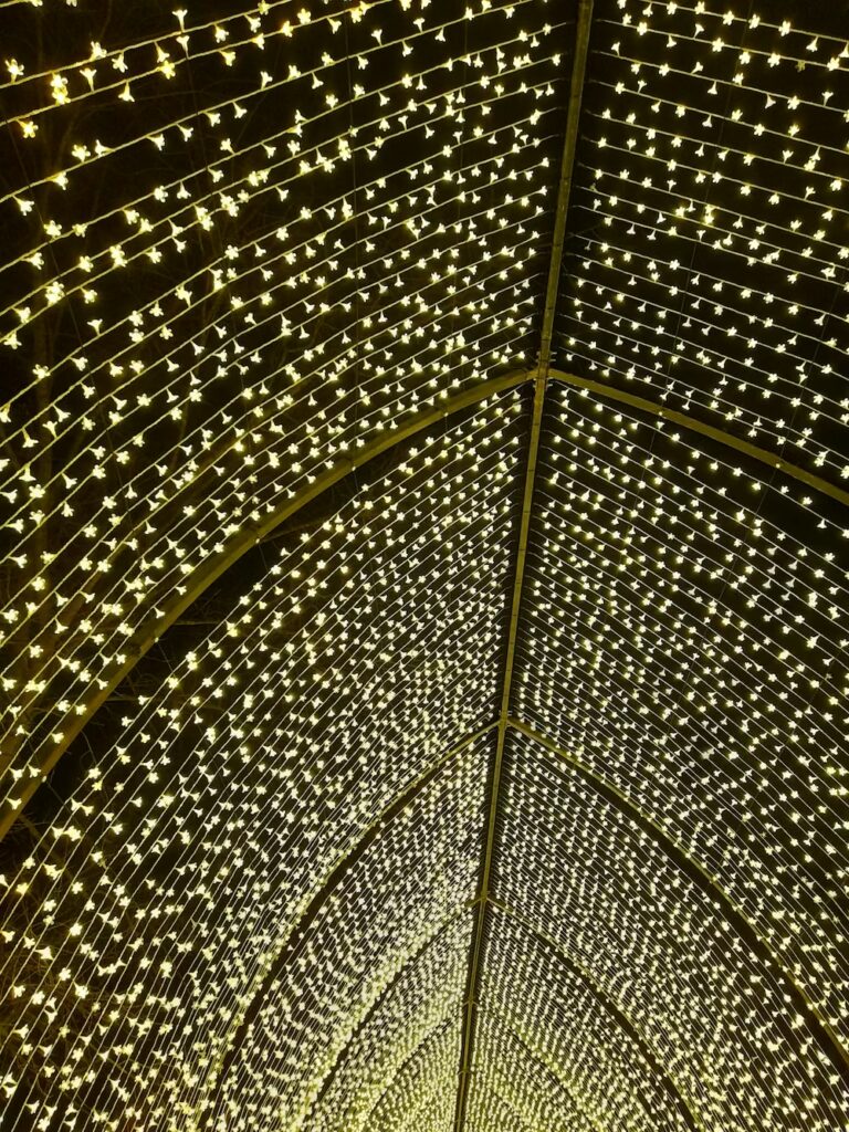 londyn-zima-kew-gardens