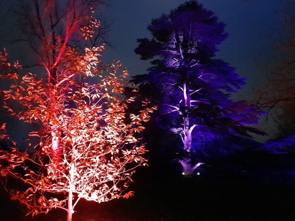 londyn-zima-kew-gardens