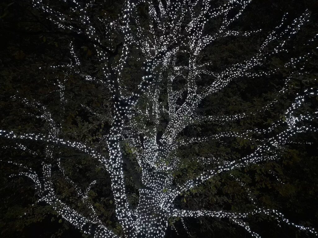 londyn-zima-kew-gardens