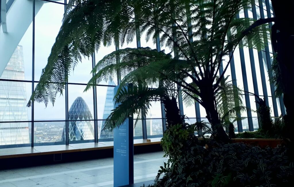 londyn-zima-sky-gardens