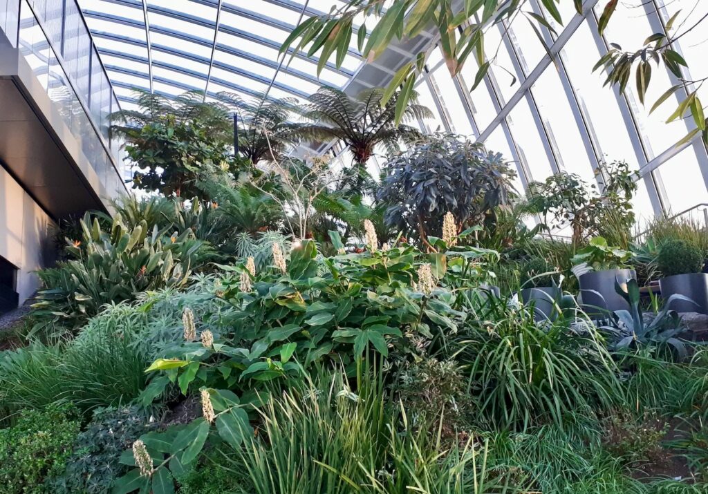 londyn-zima-sky-gardens