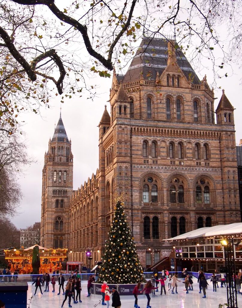 lodowisko pod Muzeum Historii Naturalnej