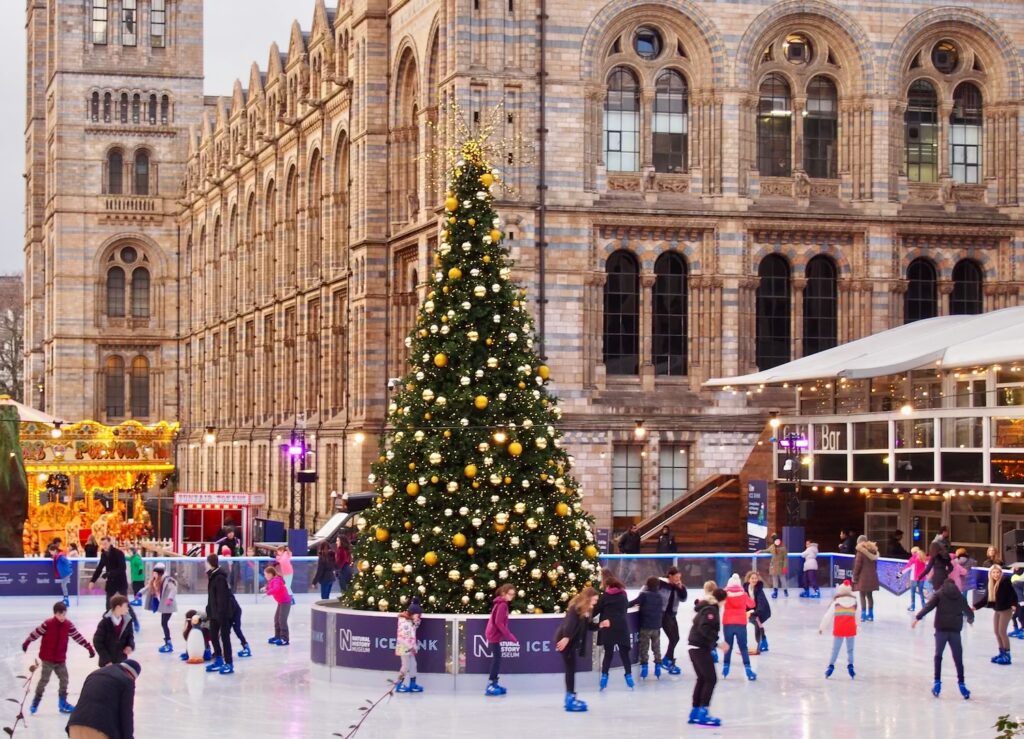 lodowisko pod Muzeum Historii Naturalnej