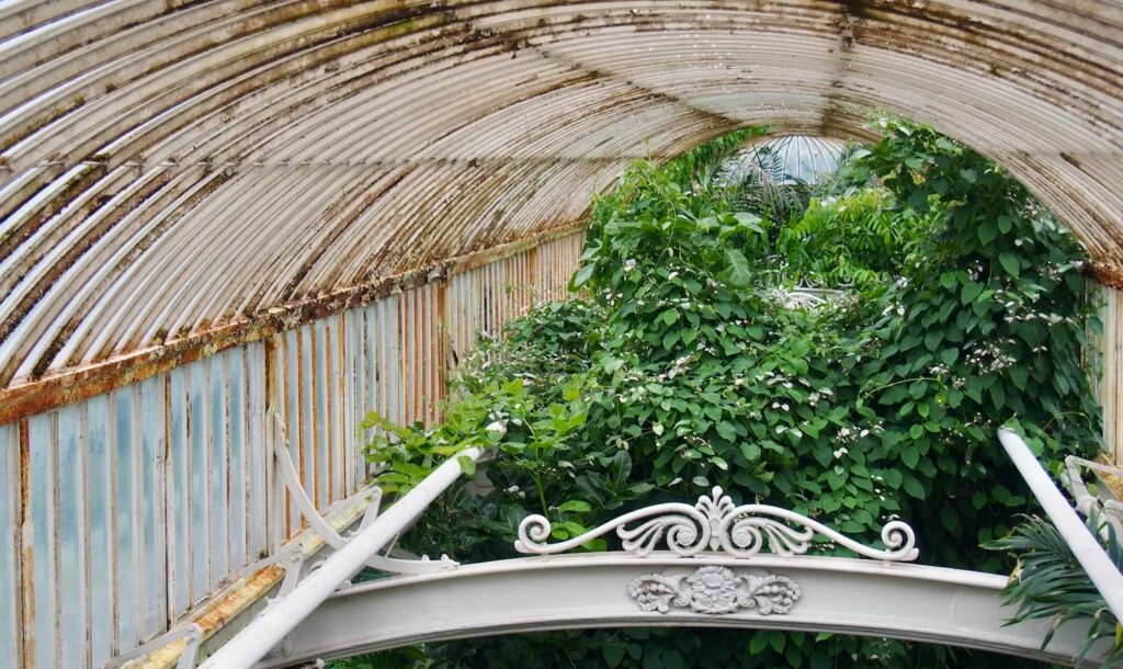 Szklarnia w Kew Gardens