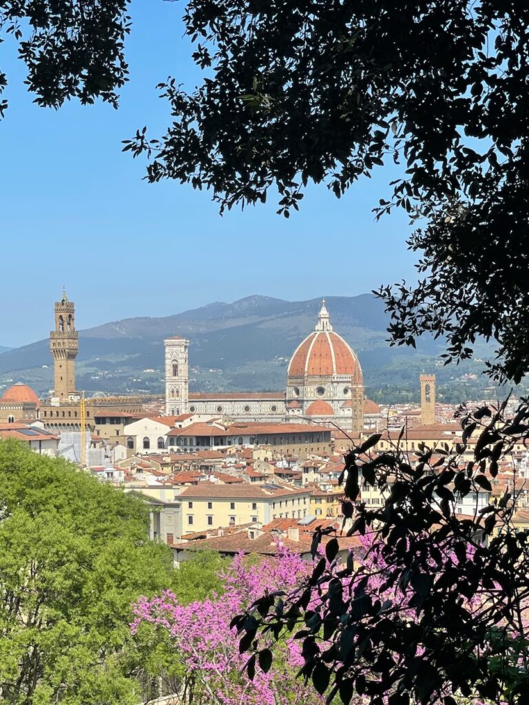 Widok na katedrę Santa Maria del Fiore we Florencji