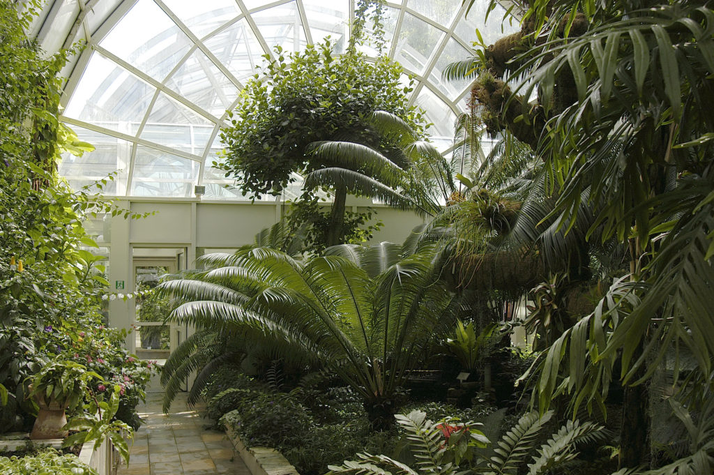 ogrod-botaniczny-warszawa