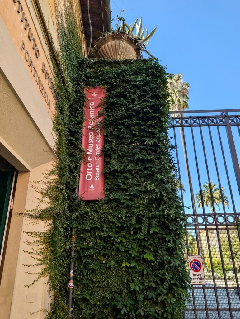 piza_ogrod_botaniczny