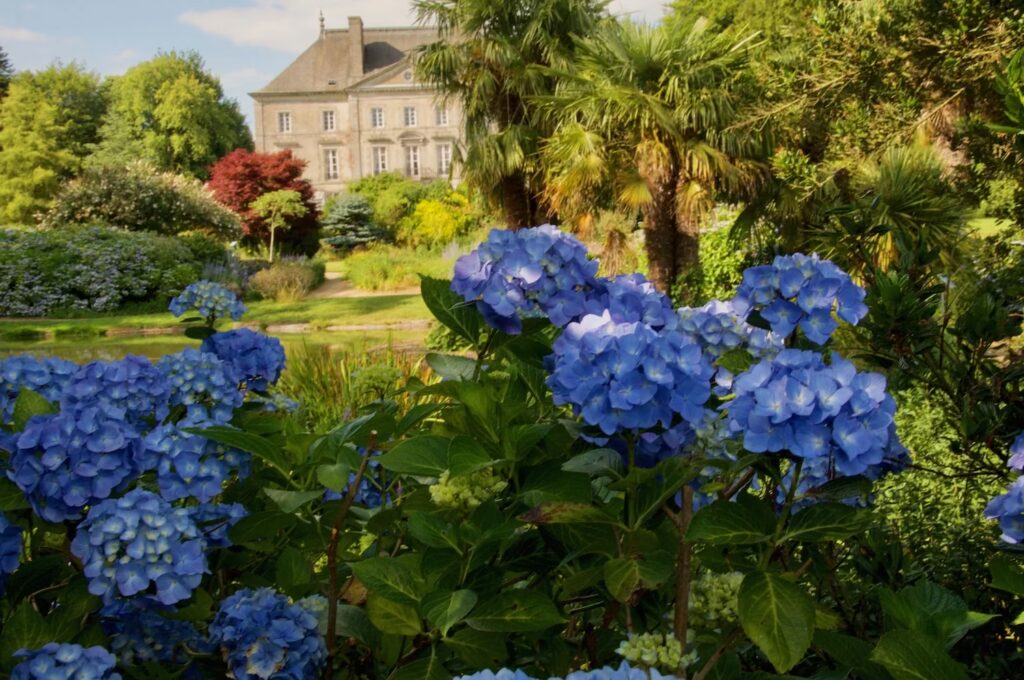 bretania - Le_Château_de_la_Foltière