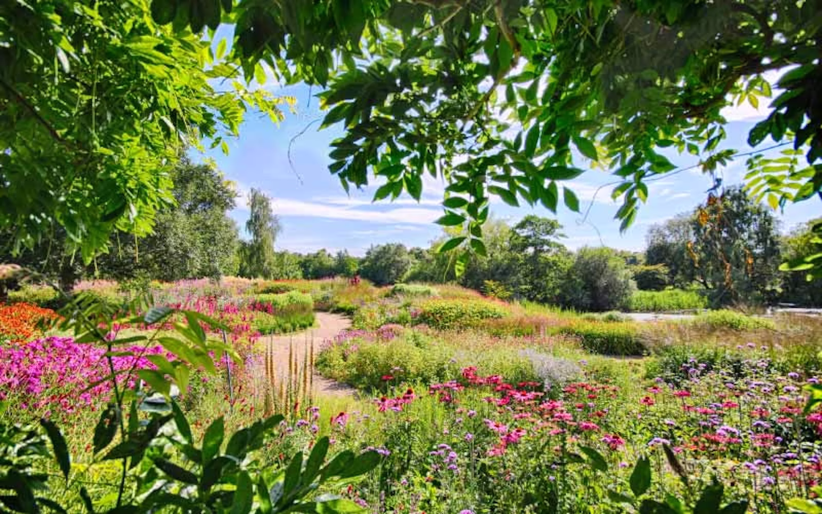 Pensthorpe Garden